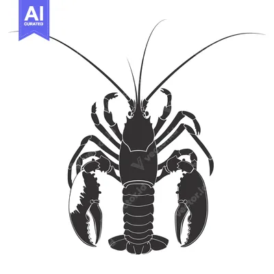 Black and White Silhouette of a Lobster