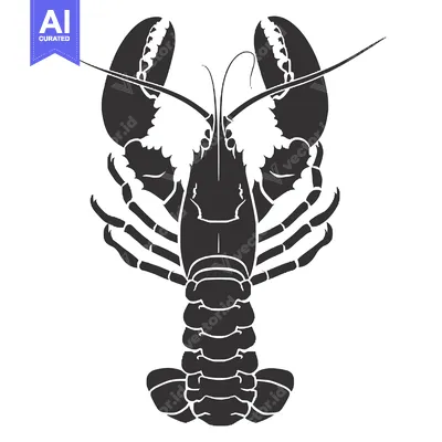 Popular premium asset: Black and white silhouette of a lobster viewed from the front