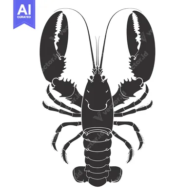 Popular premium asset: Black and White Silhouette of a Lobster