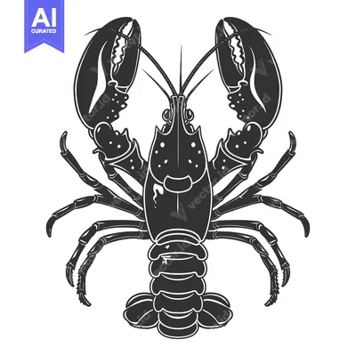 Popular premium asset: Black and White Illustration of a Lobster with Claws Extended