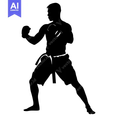 Silhouette of a Male Martial Artist in Fighting Stance