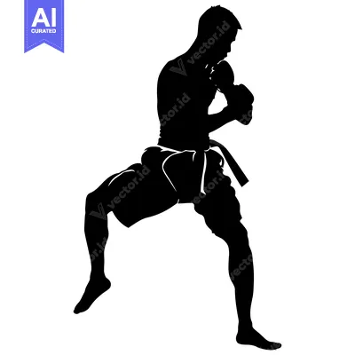 Silhouette of a Male Boxer in a Fighting Stance