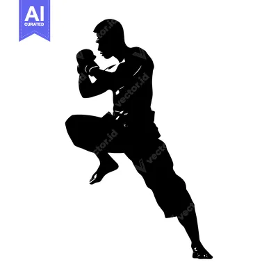 Aset premium populer: Silhouette of a Male Boxer in a Fighting Stance