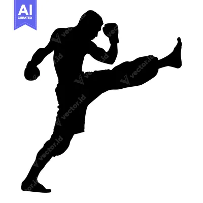 Silhouette of a Boxer Throwing a High Kick