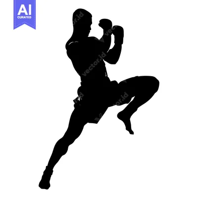 Silhouette of a Boxer Striking a Powerful Pose