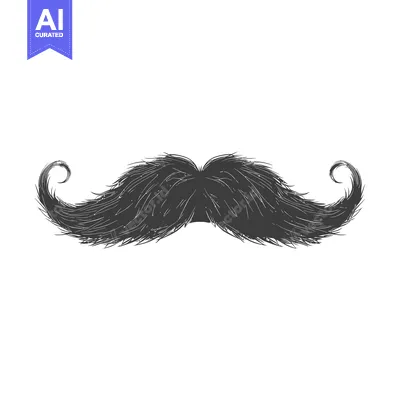 A Hand-Drawn Illustration of a Black Mustache with Swirled Ends
