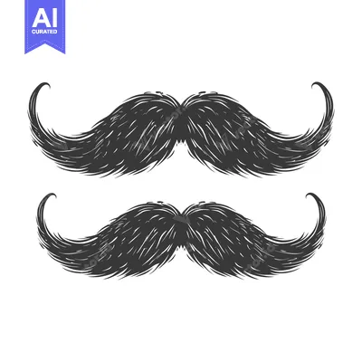 Aset desain premium: Hand-drawn illustration of two black mustaches with curled ends