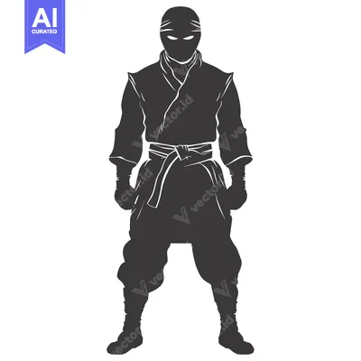 Silhouette of a Ninja in a Black Outfit and Mask