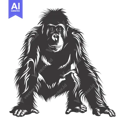 Premium design asset: Black and White Stylized Illustration of an Orangutan