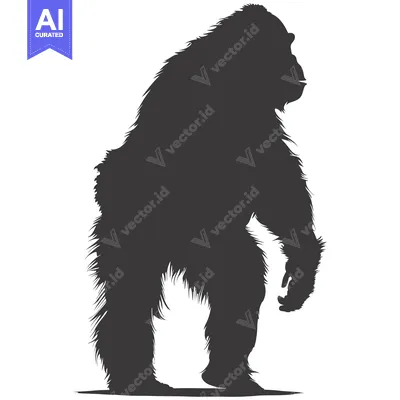 Aset premium populer: Silhouette of a chimpanzee standing on a white background