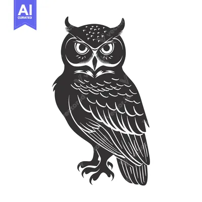 Aset premium populer: Black and White Silhouette of an Owl with Sharp Talons