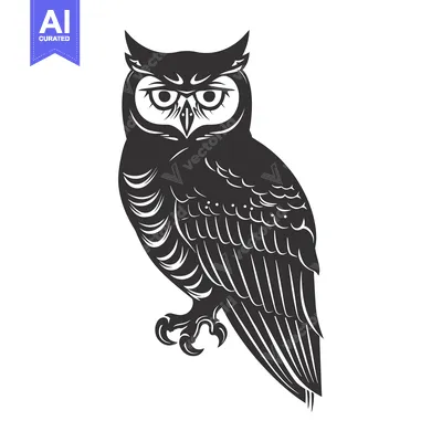 Aset premium populer: Black and White Detailed Illustration of a Standing Owl