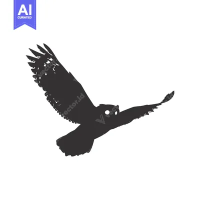 Premium design asset: Silhouette of an owl in flight with spread wings