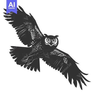 Aset premium populer: Black and White Silhouette of an Owl in Flight