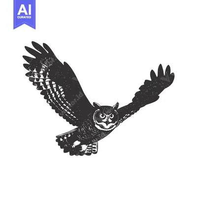 Aset premium populer: Black and White Illustration of an Owl in Flight