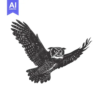 Aset premium populer: Black and White Illustration of a Flying Owl