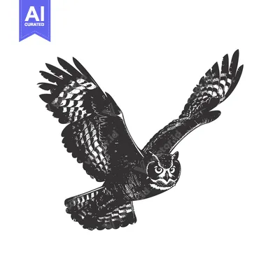 Aset premium populer: Black and White Illustration of a Flying Owl with Spread Wings