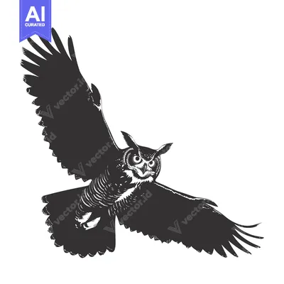 Aset premium populer: Black and White Illustration of an Owl in Flight