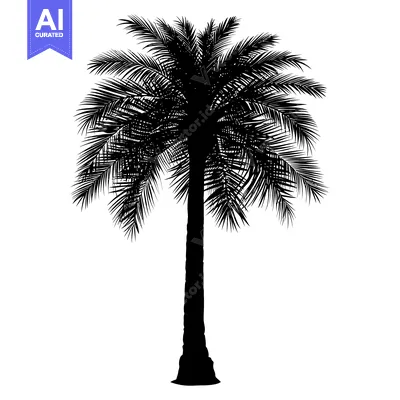 Popular premium asset: Black and White Silhouette of a Single Palm Tree