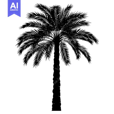 Popular premium asset: Black and White Silhouette of a Palm Tree