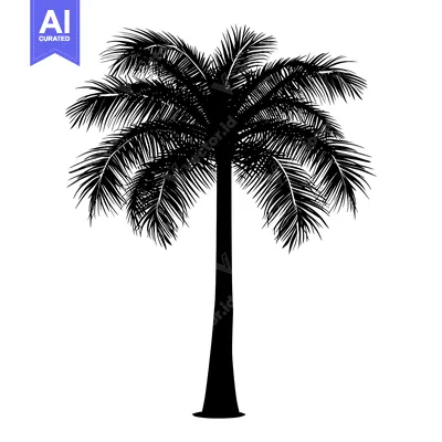 Popular premium asset: Black silhouette of a palm tree with lush leaves