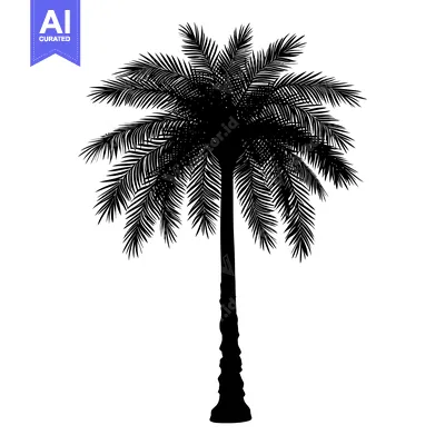 Black Silhouette of a Palm Tree with Fronds
