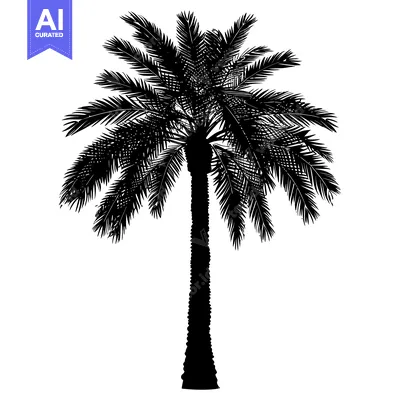 Silhouette of a Palm Tree with Fronds and Trunk