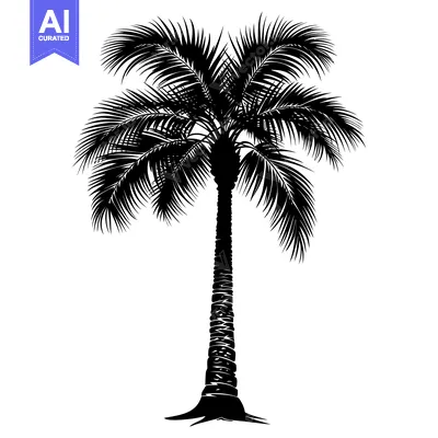 Popular premium asset: Black and White Silhouette of a Palm Tree