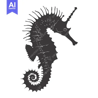 Aset premium populer: Black and White Illustration of a Seahorse with a Spiky Back and a Coi