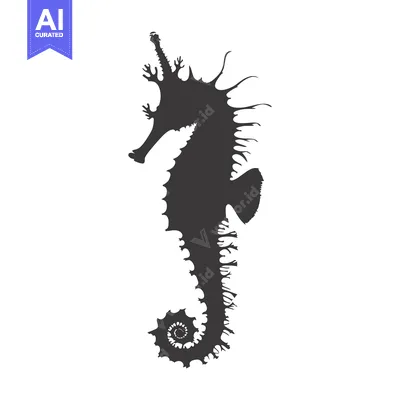 Aset premium populer: Black and white silhouette of a seahorse with a curled tail