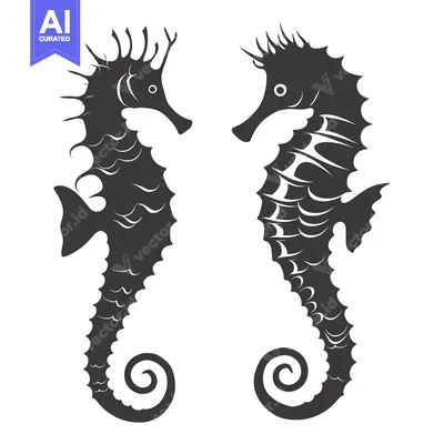 Two Black Silhouettes of Seahorses Facing Each Other