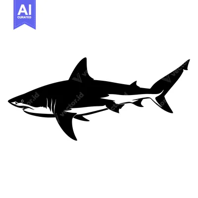 Aset premium populer: Black and White Silhouette of a Shark Swimming