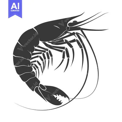 Popular premium asset: Black and White Silhouette of a Shrimp