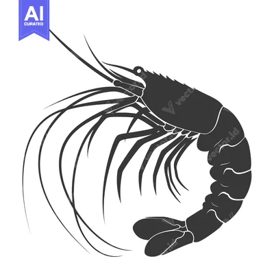 Aset premium populer: Black and White Silhouette of a Shrimp with Curved Tail