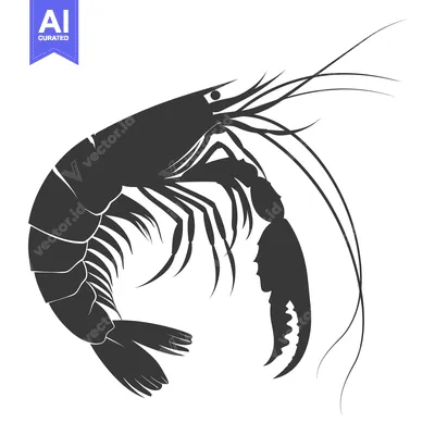 Popular premium asset: Black and White Silhouette of a Shrimp
