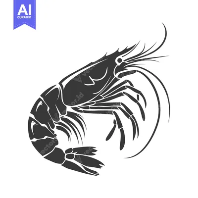Aset desain premium: Black and White Silhouette of a Shrimp