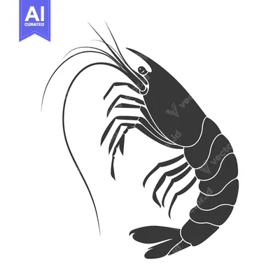 Aset desain premium: Black and White Silhouette of a Shrimp with Curved Antennae