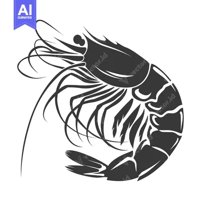 Aset desain premium: Black and White Silhouette of a Shrimp