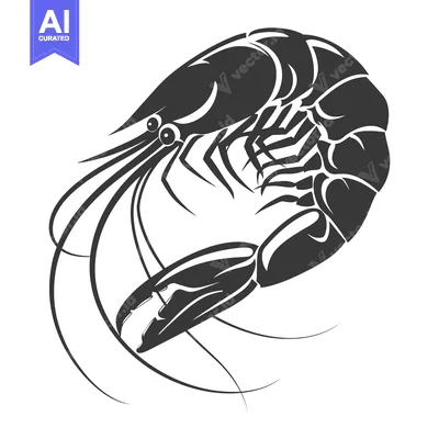 Aset desain premium: A Black and White Stylized Illustration of a Shrimp
