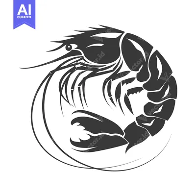 Premium design asset: Stylized Black and White Shrimp Illustration