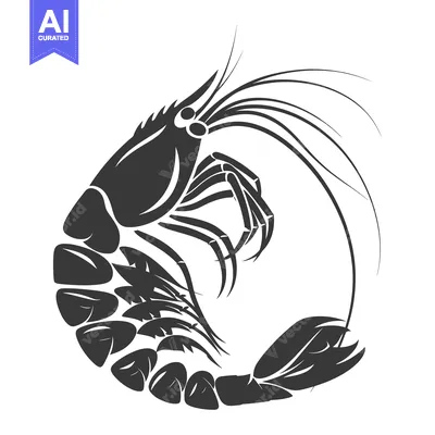 Popular premium asset: Black and White Stylized Illustration of a Shrimp