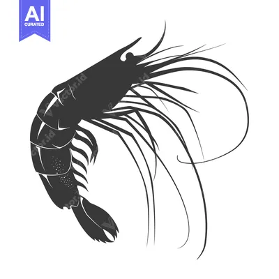 Popular premium asset: A Silhouette of a Shrimp with Detailed Antennas