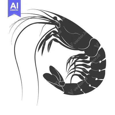 Premium design asset: Black and White Silhouette of a Shrimp in a Curled Position