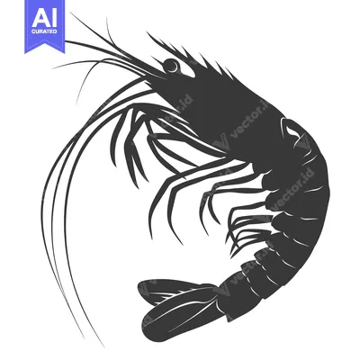 Aset desain premium: Black and White Silhouette of a Shrimp