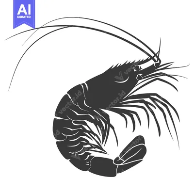 Aset premium populer: Black and White Silhouette of a Shrimp