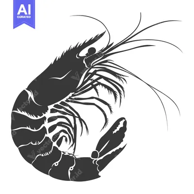 Aset desain premium: Black and white silhouette of a curled shrimp