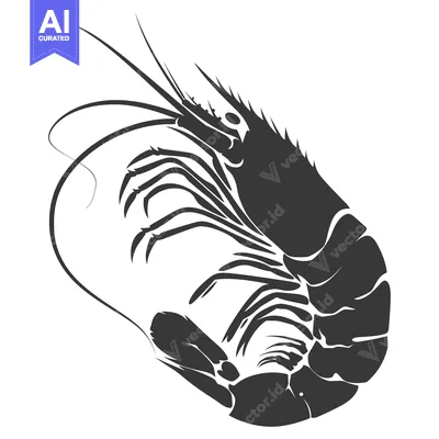 Aset desain premium: Black and White Silhouette of a Shrimp Curled Up