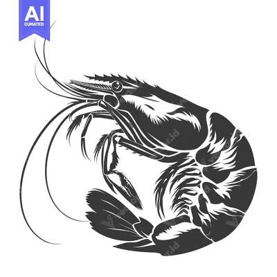 Popular premium asset: Black and White Silhouette of a Shrimp with Extended Antennae