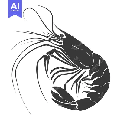 Aset premium populer: Black and white silhouette of a shrimp, viewed from the side