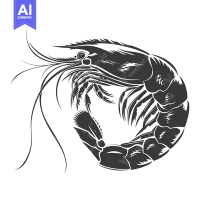 Aset premium populer: Black and White Stylized Illustration of a Shrimp